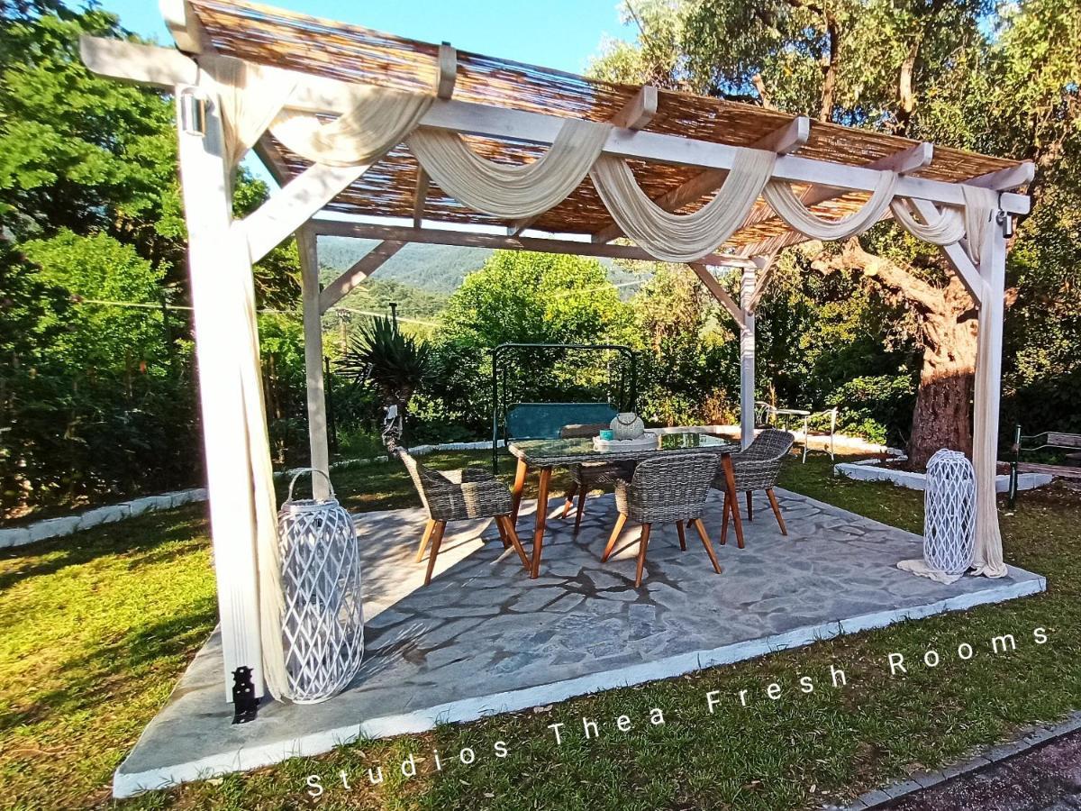 Studios Thea Fresh Rooms Thassos Zewnętrze zdjęcie