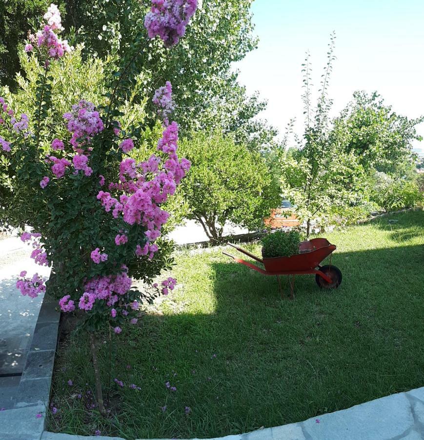 Studios Thea Fresh Rooms Thassos Zewnętrze zdjęcie