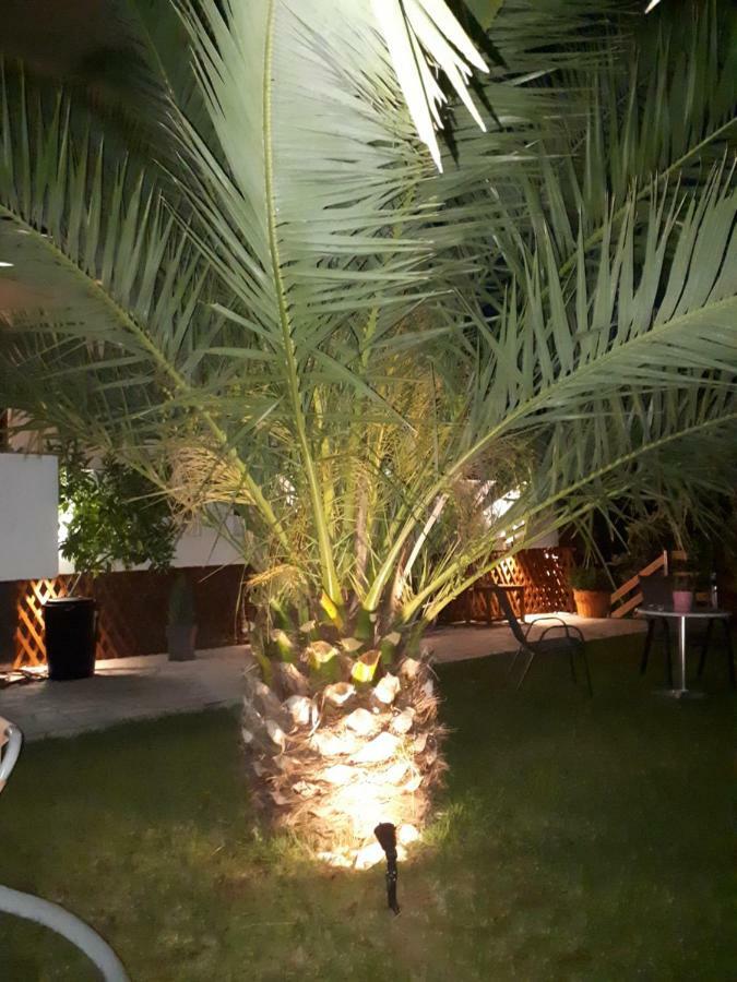Studios Thea Fresh Rooms Thassos Zewnętrze zdjęcie